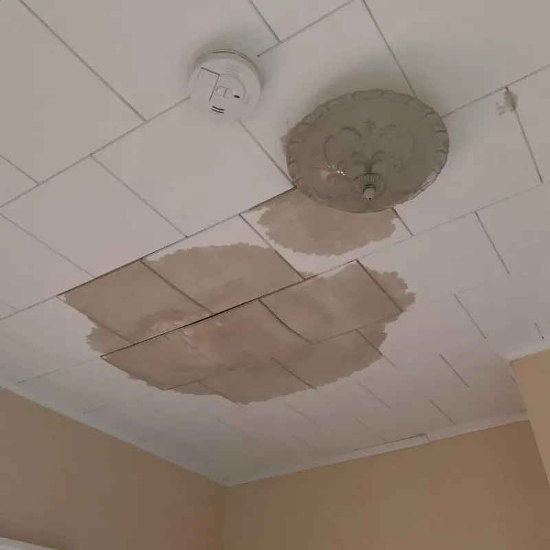 Ceiling Water Damage Repair in Poteau, OK