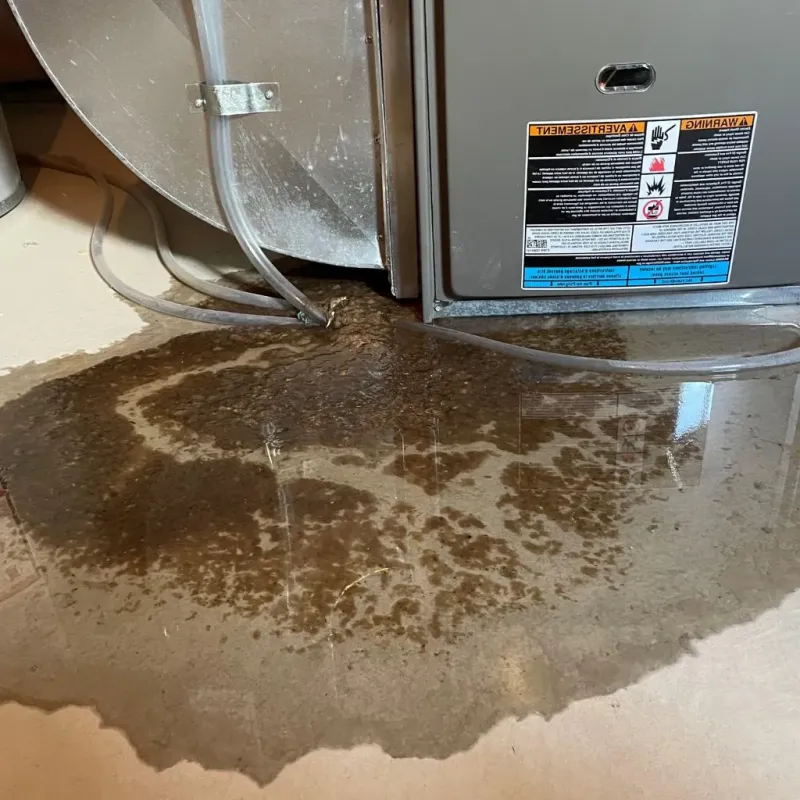 Pipe Burst and Leak Restoration in Poteau, OK